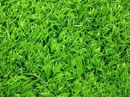 3 Mm Thick Uv Resistance Smooth Pvc Artificial Grass