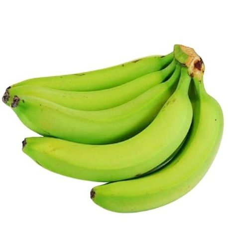 Naturally Grown Long Shape Fresh Green Banana