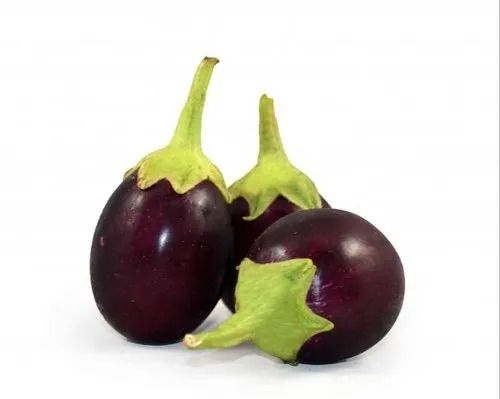 Raw Naturally Grown Healthy Nutritious A Grade Farm Fresh Organic Brinjal