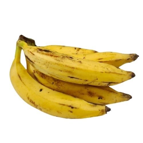 Common Yellow Long Shape Sweet Nendran Banana