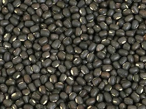 99.9% Pure Commonly Cultivated Protein Rich Dried Whole Black Gram