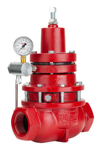 Back Pressure Valve