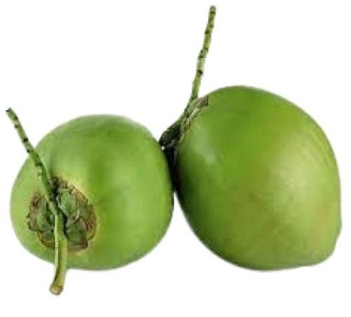 Farm Fresh Medium Size Full Husk Whole Green Tender Coconut