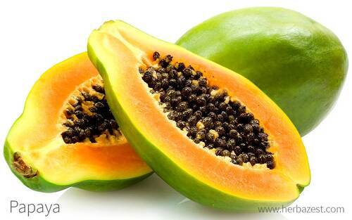 Indian Origin Sweet Fresh Papaya 