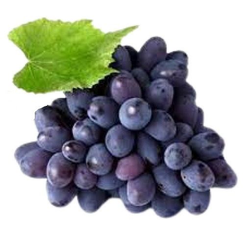 Common Round Shape Indian Origin Sweet Tasty Black Grapes