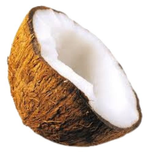 Round Shape White With Brown Fresh Coconut