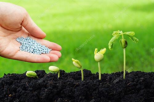 100% Organic Green Manure For Agriculture Crop Growth Use