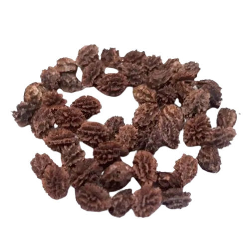 99% Pure Commonly Cultivated Highly Nutritious Edible Dried Papaya Seeds