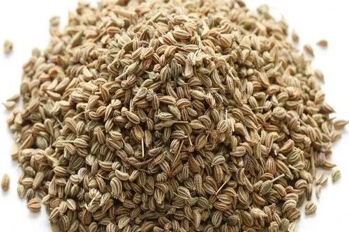 Pure And Dried Raw Non Hybrid Ajwain Seeds With 12 Months Shelf Life