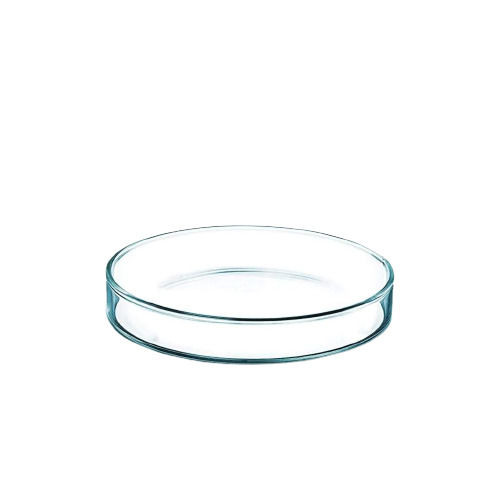 Transparent 2 Mm Thick Round Glass Petri Dish For Chemical Laboratory Use