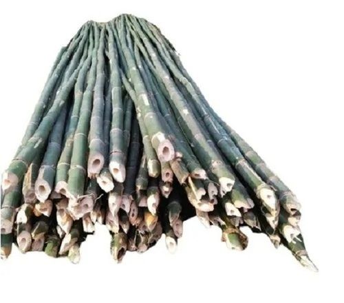 Bamboo Poles