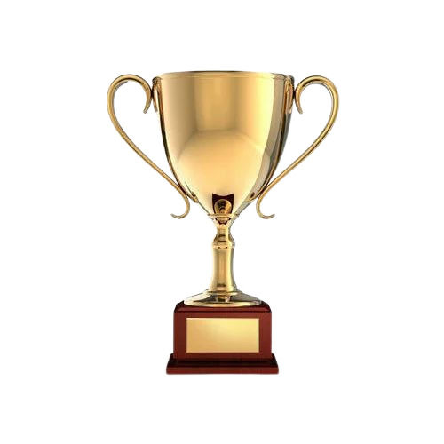 Brass Metal Trophy Cup, Size (Inches): 10 x10 x15 cm at Rs 250/piece in New  Delhi