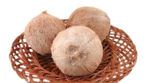 A Grade Round Shape Full Husked Brown Fresh Coconut