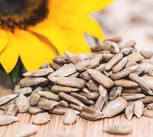 Natural Sun Dried Sunflower Seeds For Agriculture Use