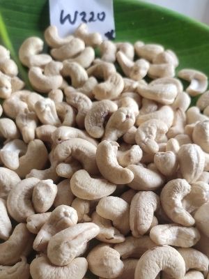 cashew nut kernel