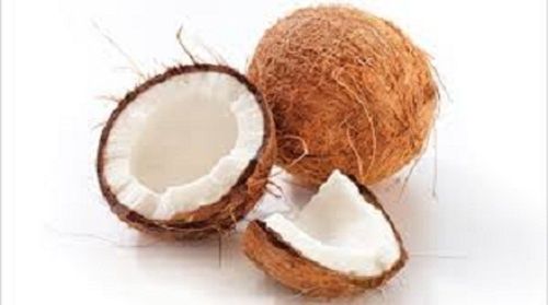 Semi Husked Round Shape Coconut