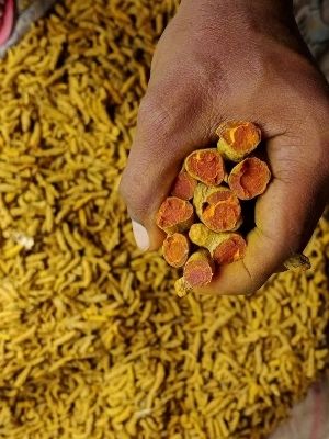 turmeric fingers