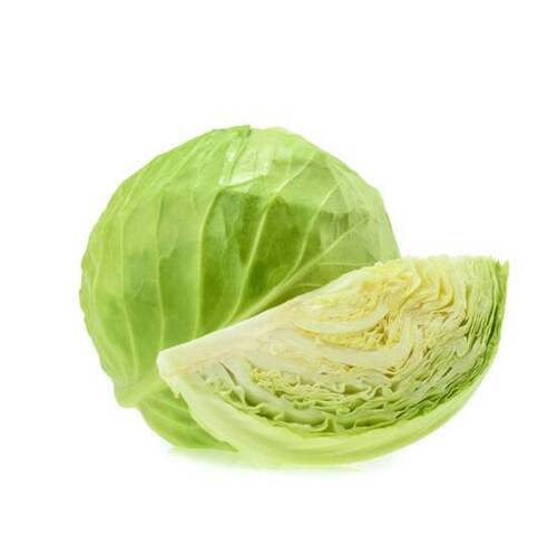 A Grade Pure Raw Fresh Cabbage