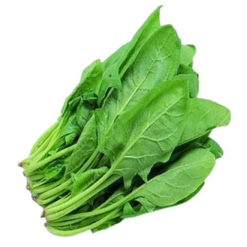 Pure And Natural Fresh Spinach Moisture (%): 12%