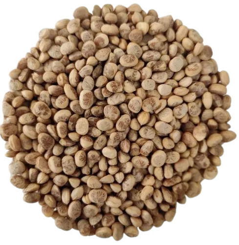 Brown Pure And Natural Commonly Cultivated Dried Chironji For Food Flavor Enhancing