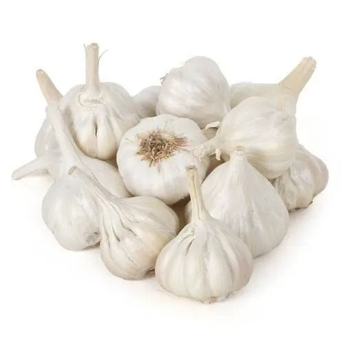 Pure And Natural Commonly Cultivated Raw Dried Fresh Garlic Moisture (%): 63 %