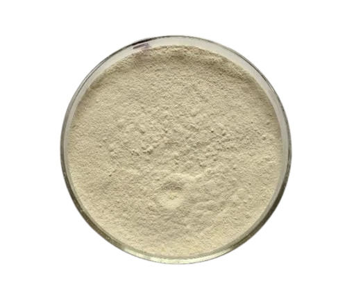 13% Protein 2% Moisture Pure And Dried Protein Rich Fresh Tamarind Gum Powder