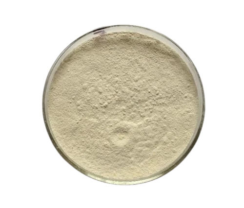 Light Brown 13% Protein 2% Moisture Pure And Dried Protein Rich Fresh Tamarind Gum Powder