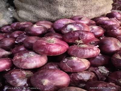 red onion