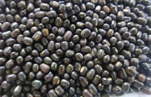 A Grade Common Cultivated Healthy 99% Pure Urad Saboot Dal