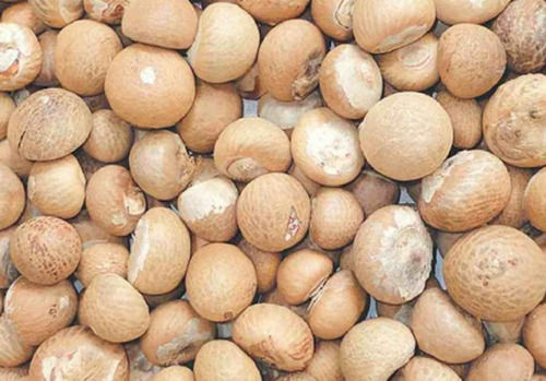Commonly Cultivated Pure and Dried Raw Chemicals Free Betel Nuts