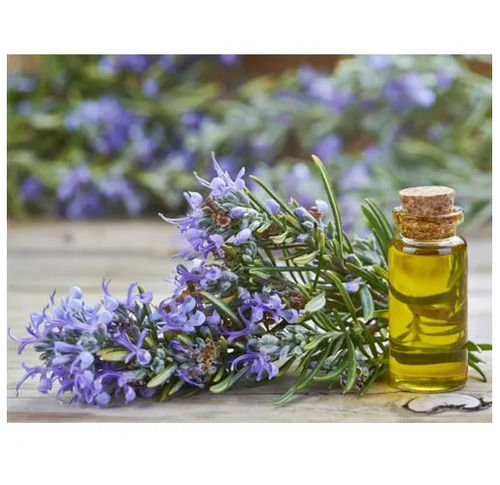 Pale Yellow Rosemary Essential Oil For Aromatherapy