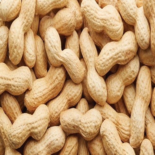 A Grade And Indian Origin Raw Peanuts