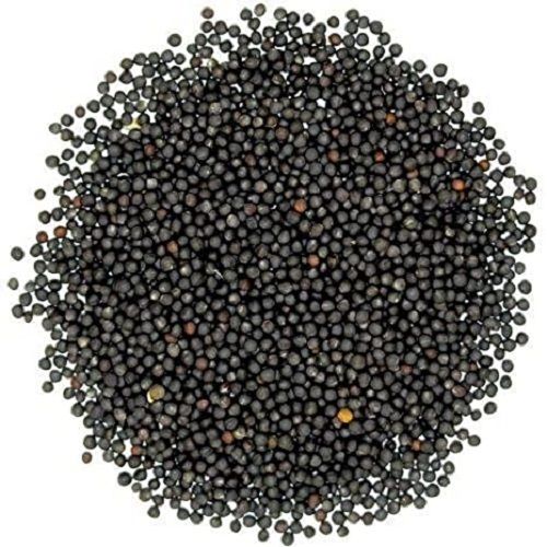 A-Grade Common Cultivated Natural Pure Edible Hybrid Black Mustard Seeds