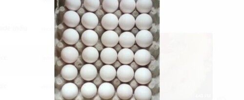 High In Vitamins Healthy Natural Pure Fresh Organic White Hatching Eggs