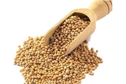 Natural Pure Organic High-Quality Yellow Mustard Seeds For Cultivation