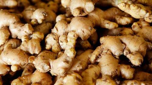 Prevent Gastrointestinal Issues Raw Pure And Natural Fresh Ginger