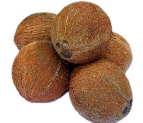 Brown Coconut Copra