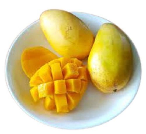 Yellow Indian Origin Oval Shape Fresh Mango