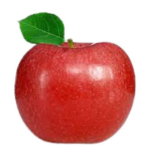 Common Red Apple