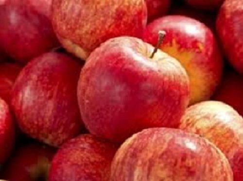 Red Round Shape Naturally Grown Fresh Apple