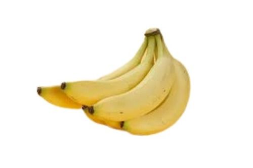 Common Yellow Banana