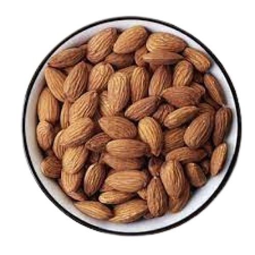 A Grade Oval Shape Medium Size Dried Almond Nuts