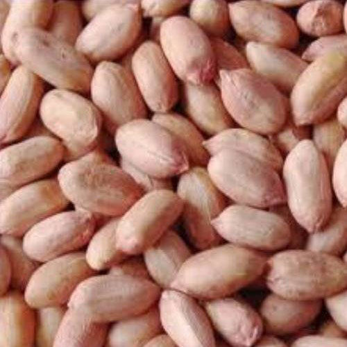 Brownish Natural Dried Salty Peanut Good For Health