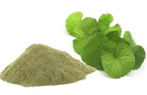 6% Moisture Natural And Pure Dried Brahmi Power Age Group: For Adults