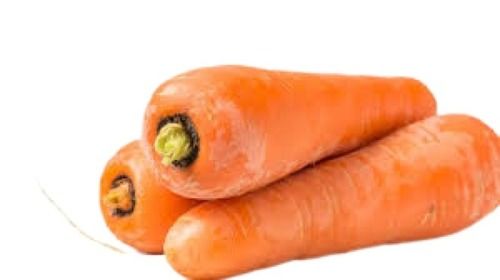 98 Percent Moisture Low In Calories Long Shape Raw Fresh Carrot Moisture (%): 98%