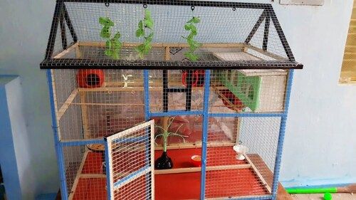 Portable And Durable Love Birds Cage