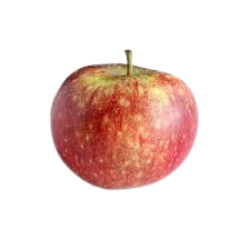 Common Round Shape Sweet Taste Red Apple