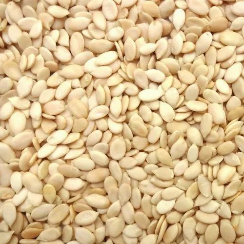 White Commonly Cultivated Sunlight Dried And Pure Watermelon Seeds