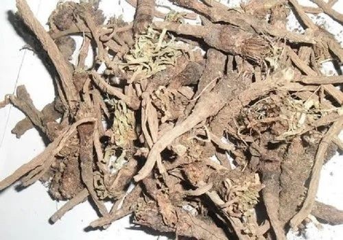 Dried Herb Akarkara Roots For Relieving Pain And Inflammation