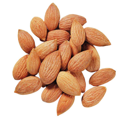 Healthy And Nutritious Commonly Cultivated Pure Dried Apricot Seeds Admixture (%): 0%